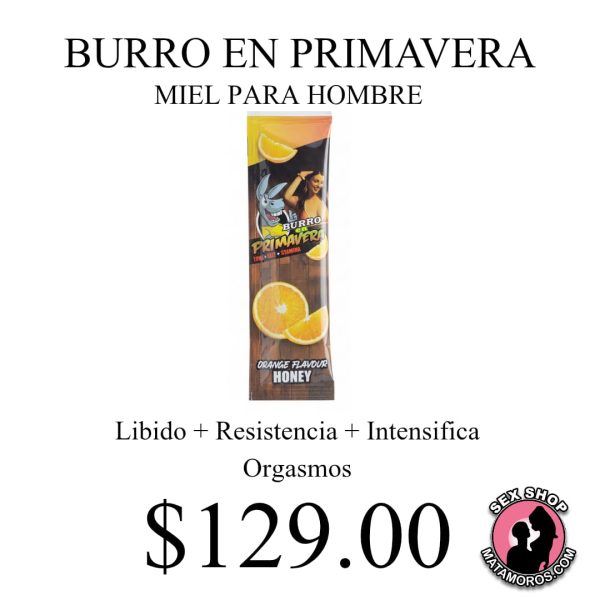 WhatsApp Image 2026-01-22 at 3.26.40 PM