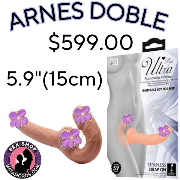 ARNES 10