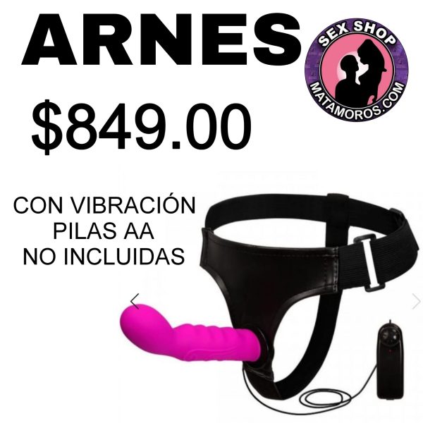 ARNES 17
