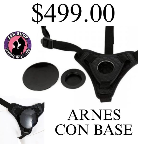 ARNES 18