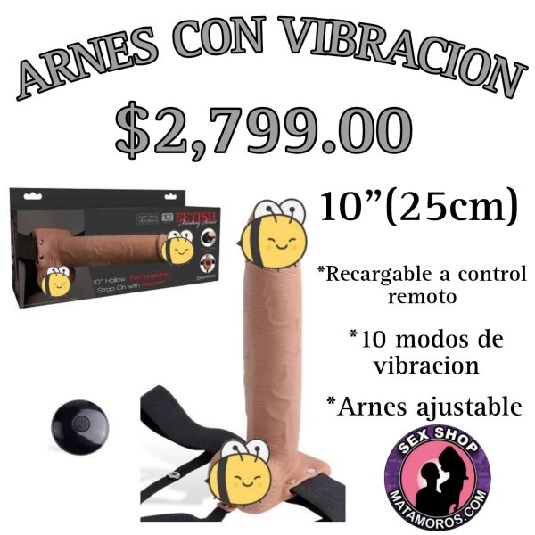 ARNESS 5