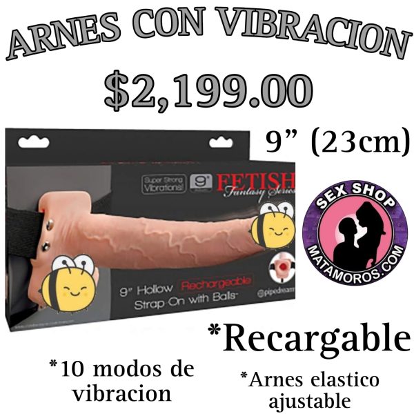 ARNESS 6