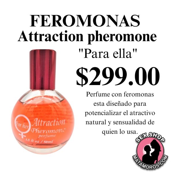 Imagen de WhatsApp 2025-12-15 a las 14.40.34_30871ecf