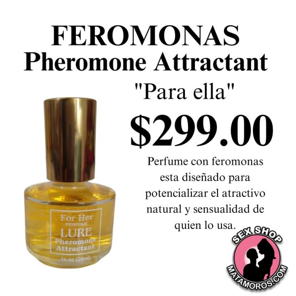 Imagen de WhatsApp 2025-12-15 a las 14.40.35_f7548bc9