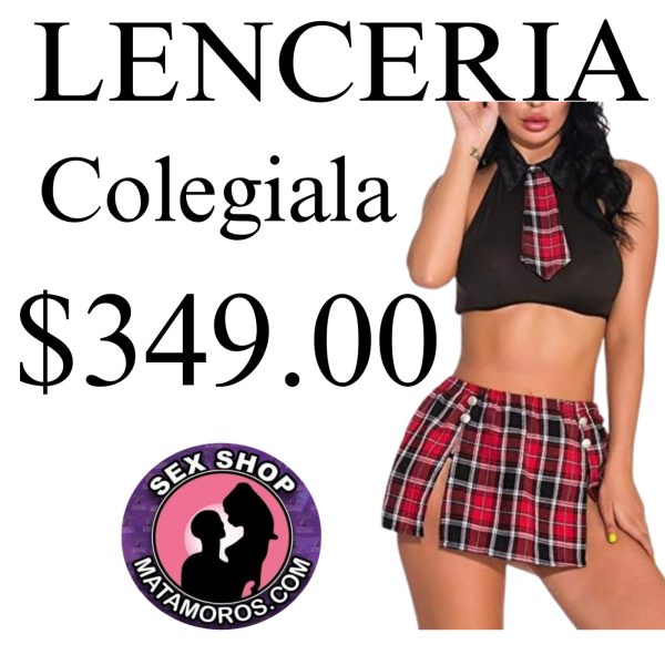 WhatsApp Image 2026-01-17 at 12.20.48 PM (3)