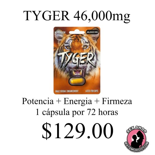 WhatsApp Image 2026-01-17 at 7.23.23 PM (2)