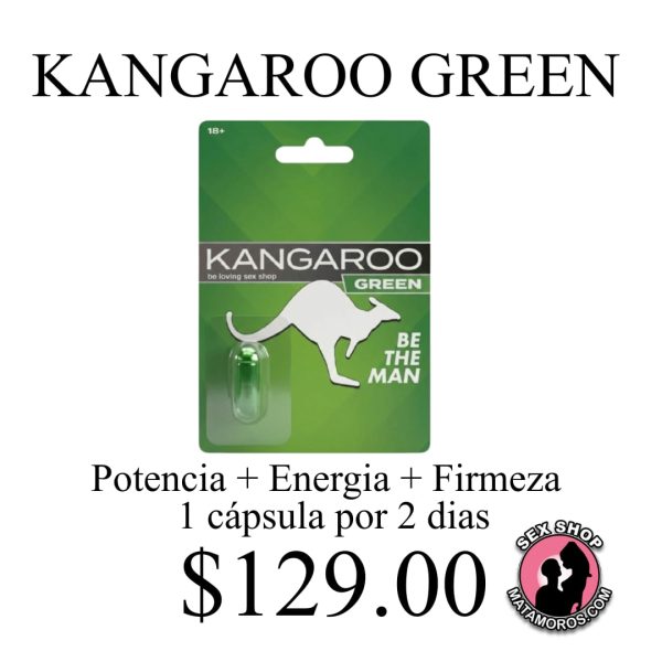 WhatsApp Image 2026-01-17 at 7.23.26 PM (6)