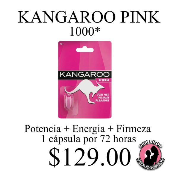 WhatsApp Image 2026-01-17 at 7.23.27 PM (3)