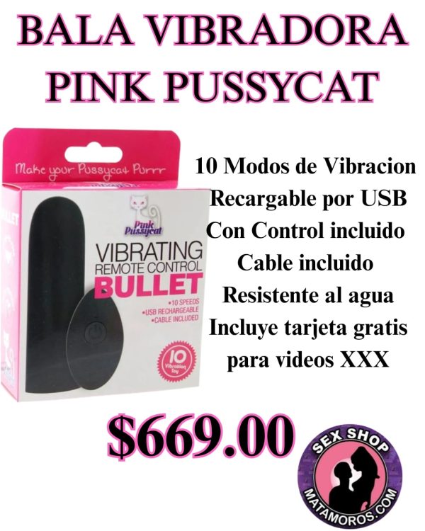 WhatsApp Image 2026-02-01 at 3.18.24 PM