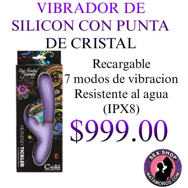 WhatsApp Image 2026-02-14 at 4.06.09 PM