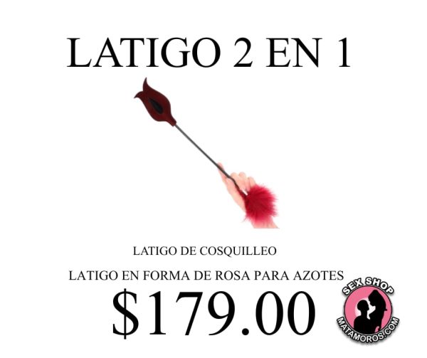 WhatsApp Image 2026-02-20 at 12.17.06 PM (1)