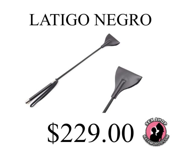 WhatsApp Image 2026-02-20 at 12.17.06 PM (3)