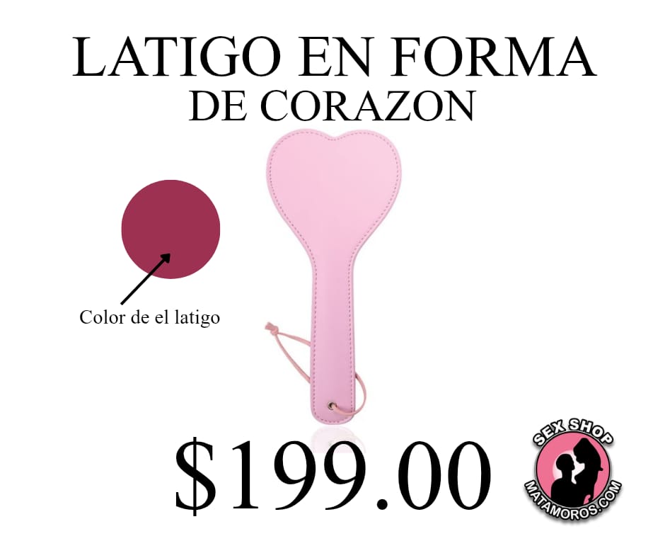 WhatsApp Image 2026-02-20 at 12.17.06 PM